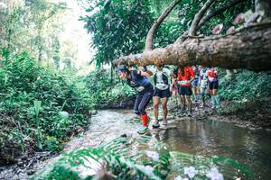 BIB: 
                            <button type="button" onclick="openModal(25445651)" class="btn btn-primary btn-sm float-right btn-popup" data-toggle="modal" data-target=".modal-high-quality">
                        <i class="fas fa-shopping-cart"></i> Add to Cart
                    </button>
                                            <button type="button" onclick="isThisMe(25445651, true)" class="btn btn-success btn-sm float-right btn-popup btn-isme hidden" data-toggle="tooltip" data-placement="bottom" title="นี่คือรูปของคุณใช่ไหม คลิกที่นี่เพื่อเอาเข้าอัลบั้ม">
                        <i class="fas fa-plus"></i> Add to album
                    </button>
                    <button type="button" onclick="isThisMe(25445651, false)" class="btn btn-warning btn-sm float-right btn-popup btn-isnotme hidden">
                        <i class="fas fa-ban"></i> Remove from album
                    </button>